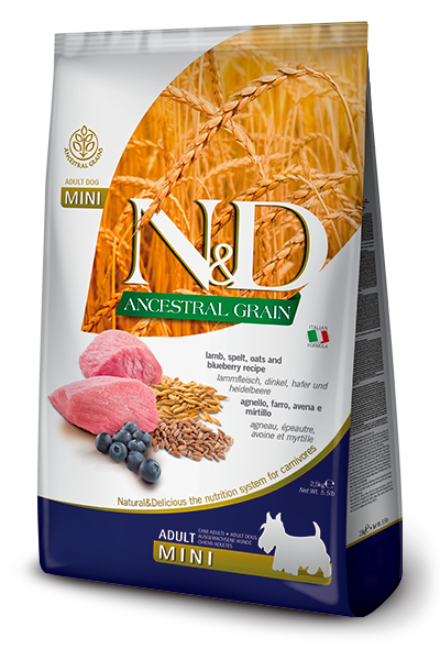 Ancestral Grain Lamb & Blueberry Adult Mini
