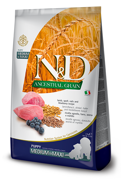 Ancestral Grain Lamb & Blueberry Puppy Medium/Maxi