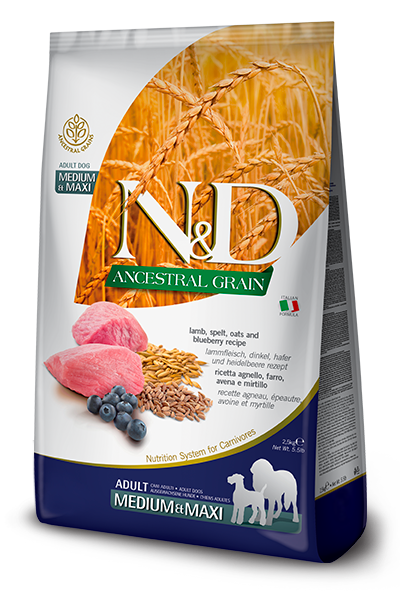 Ancestral Grain Lamb & Blueberry Adult Medium/Maxi