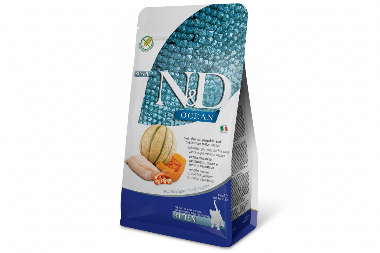 Kitten Ocean Cod, Shrimp, Pump, Cantal