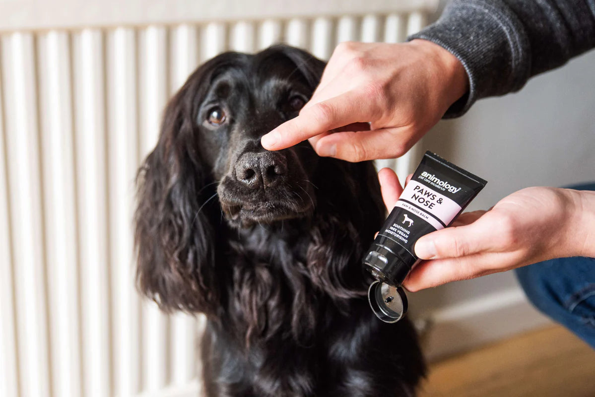 Paws & Nose Balm