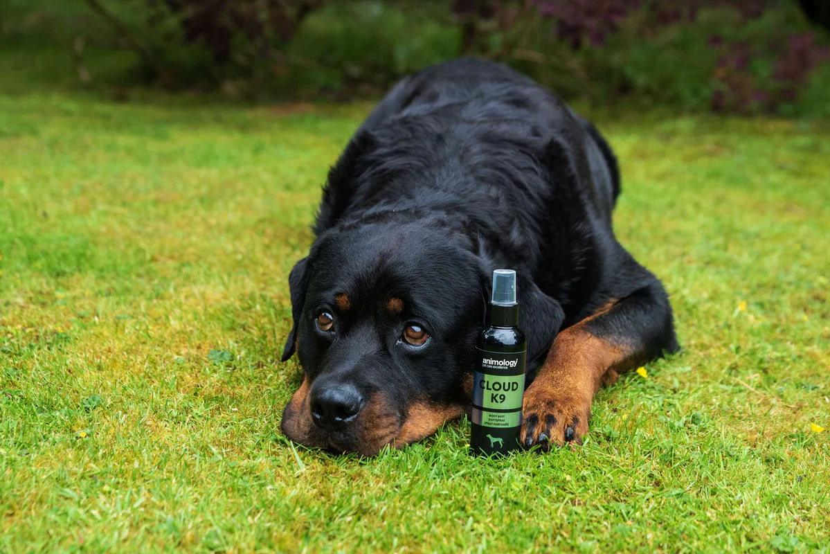 Perfume Spray Cloud K9
