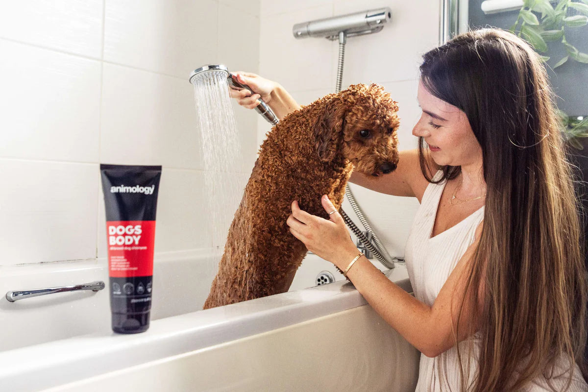 Shampoo Dogs Body