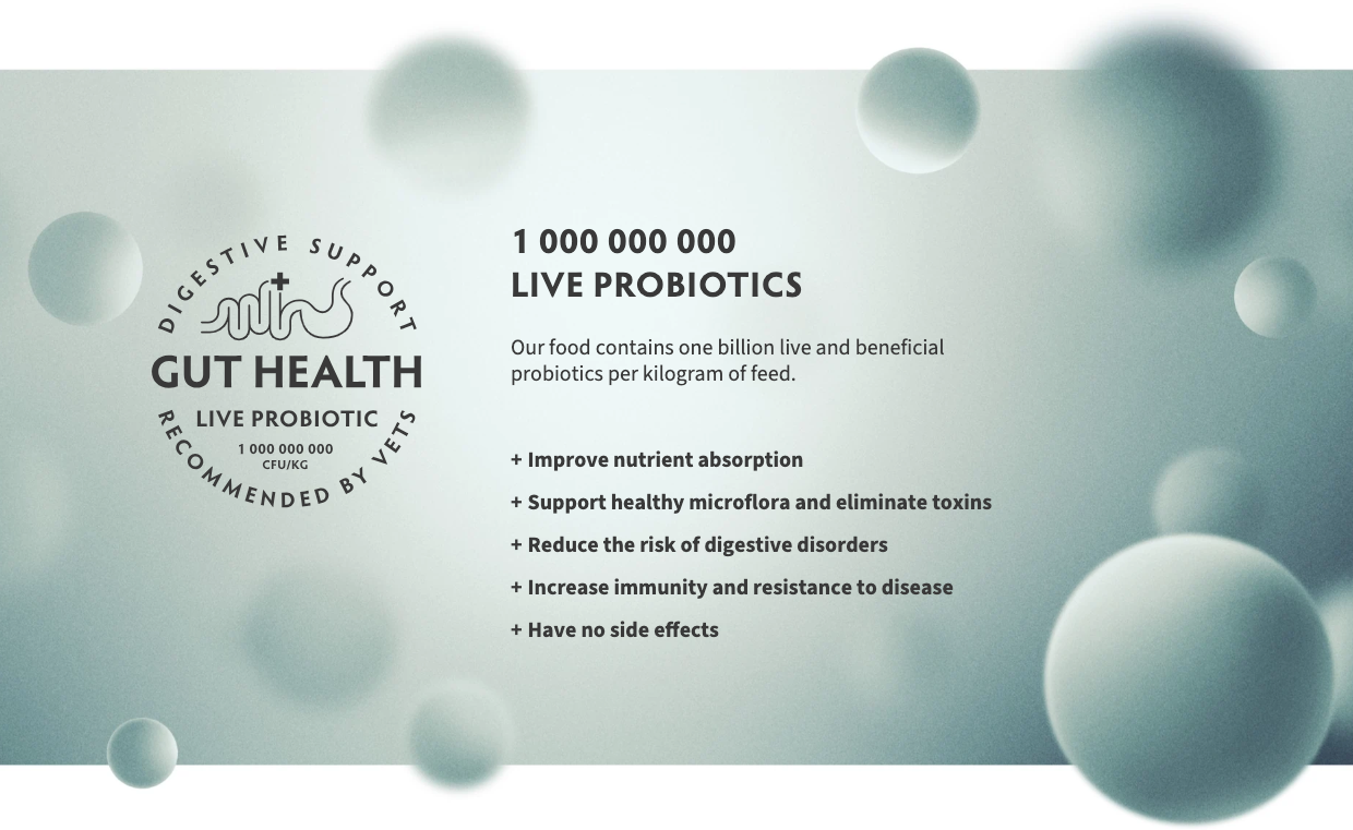 Adult Medium & Maxi Fresh Turkey