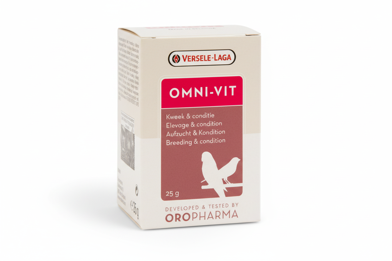 Omni-Vit