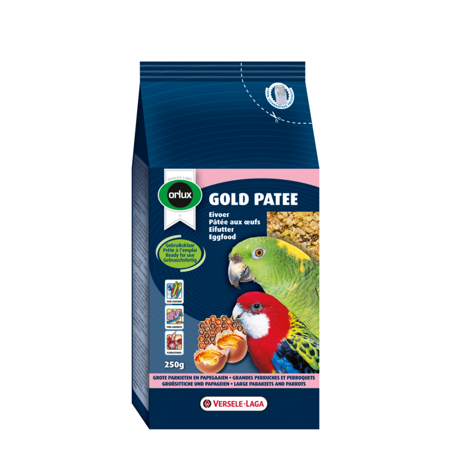 Gold Patee Large Parakeets & Parrots