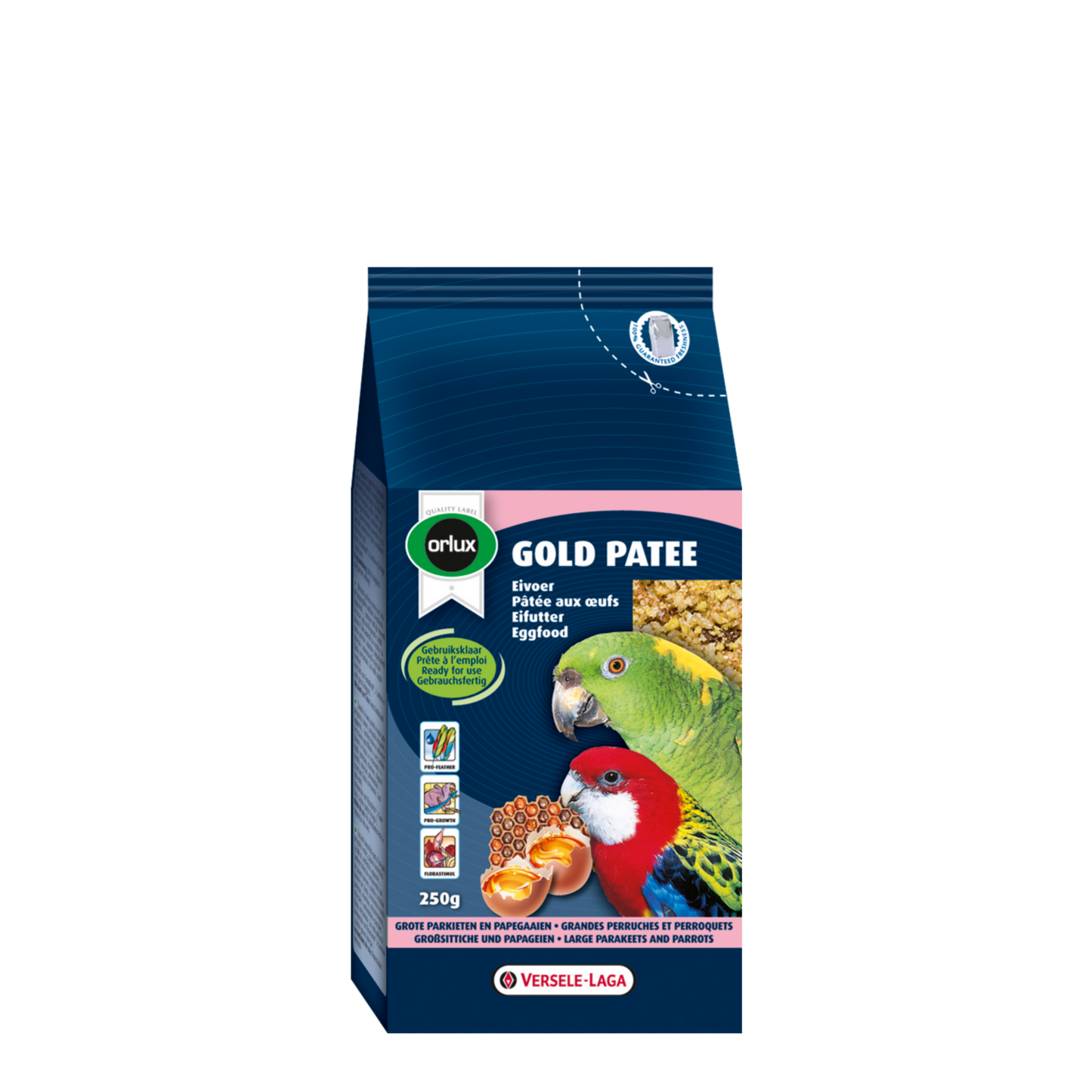Gold Patee Large Parakeets & Parrots
