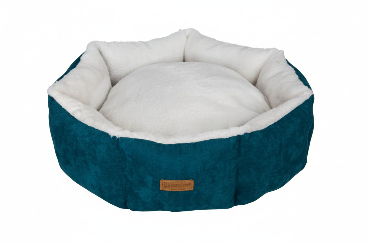 Cupcake VR10 White-Turqoise