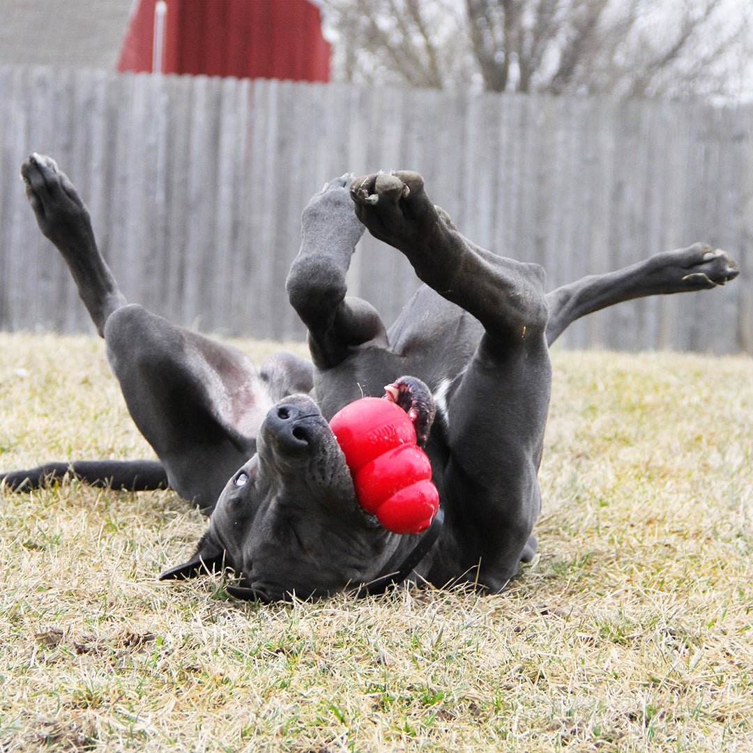 KONG classic L - 11x7x7cm red