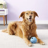 KONG Puppy Activity Ball S/M - 6,4x6,4x6,4cm mixed colors