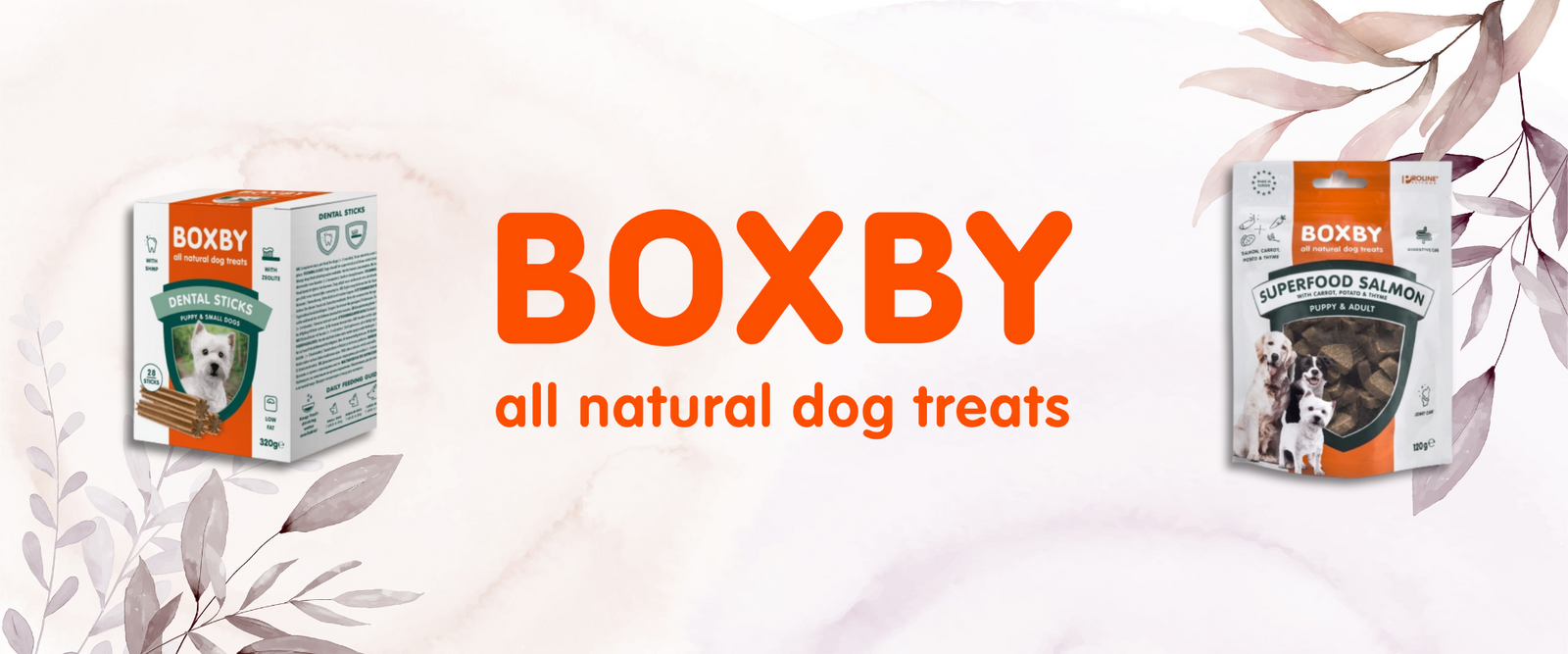 Boxby Atıştırmalıkları