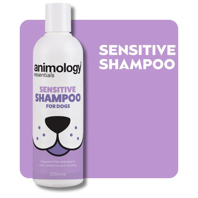Essentials Shampoo Sensitive