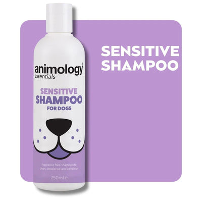 Essentials Shampoo Sensitive