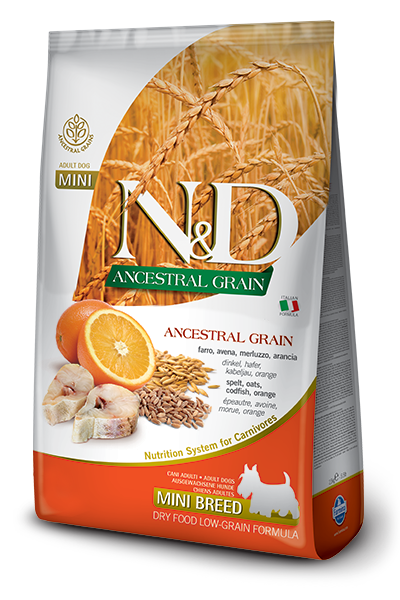 Ocean Codfish & Orange Ancestral Grain Adult Mini