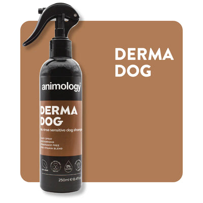 No Rinse Shampoo Derma