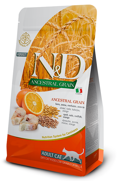 Cat Ocean Codfish & Orange