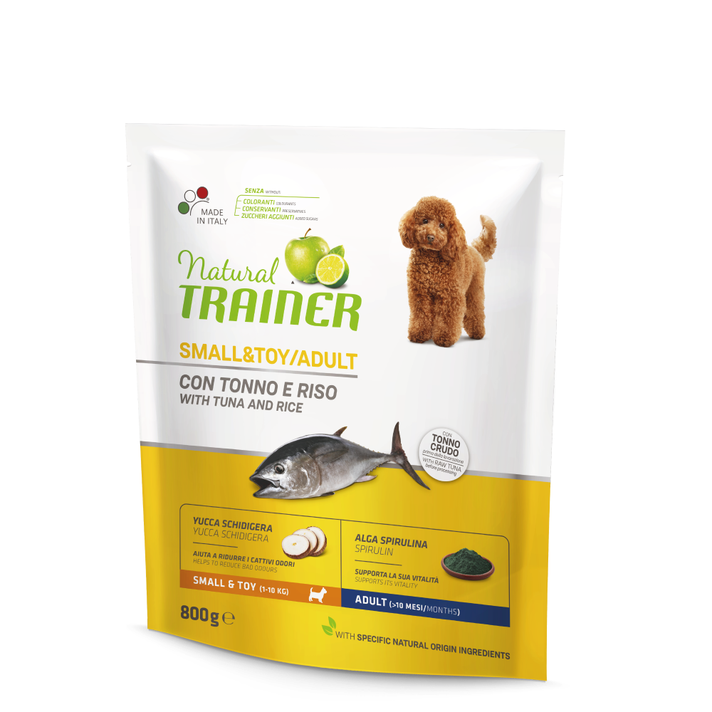 Adult Small & Toy Fish