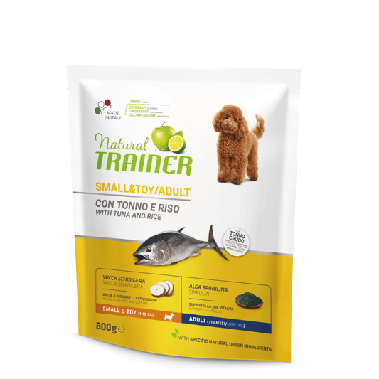 Adult Small & Toy Fish