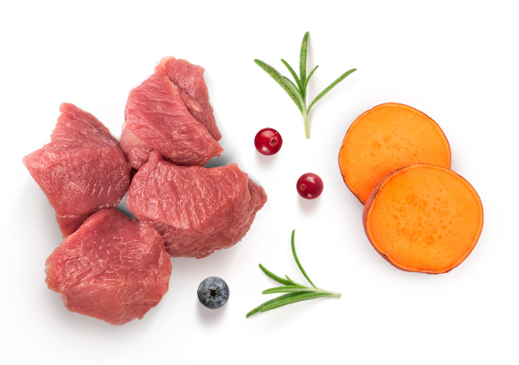 Adult Medium & Maxi Fresh Lamb