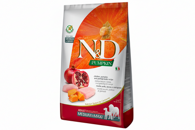 Dental Treat Pumpkin Chicken Pomegranade