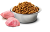Dental Treat Pumpkin Chicken Pomegranade
