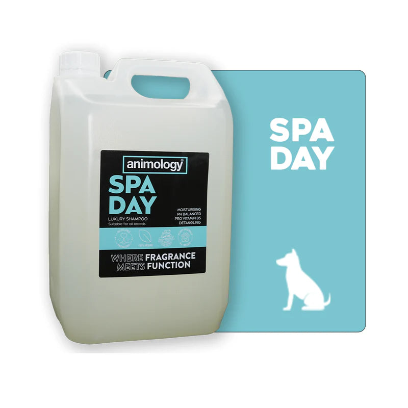 Shampoo Spa Day