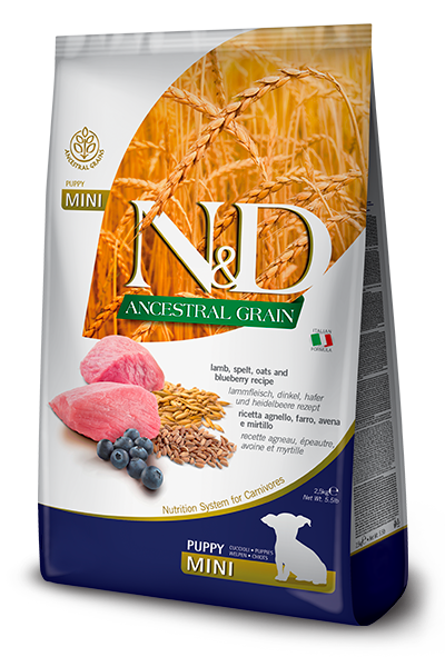 Ancestral Grain Lamb & Blueberry Puppy Mini