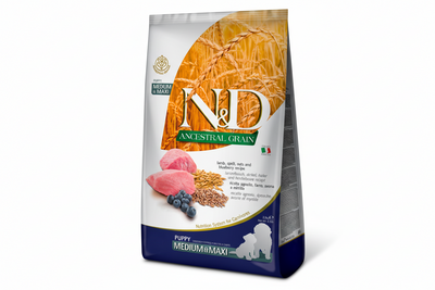 Ancestral Grain Lamb & Blueberry Puppy Medium/Maxi