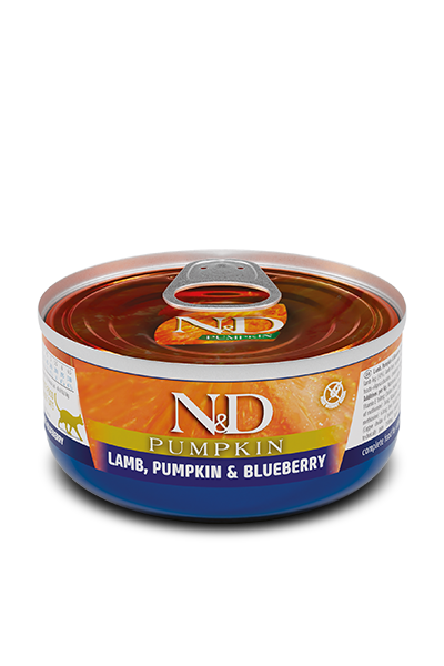 Wet Adult Cat Pumpkin Lamb-Blueberry