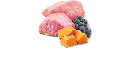 Wet Adult Cat Pumpkin Lamb-Blueberry