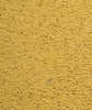 Gold Patee Canaries