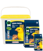 Gold Patee Canaries