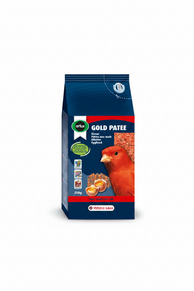 Gold Patee Canaries Red