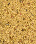 Gold Patee Large Parakeets & Parrots