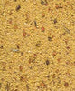 Gold Patee Large Parakeets & Parrots