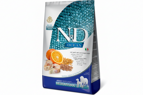 Ocean Codfish & Orange Ancestral Grain Adult Medium/Maxi