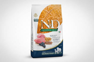 Ancestral Grain Lamb & Blueberry Adult Medium/Maxi