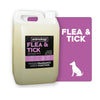 Shampoo Flea & Tick