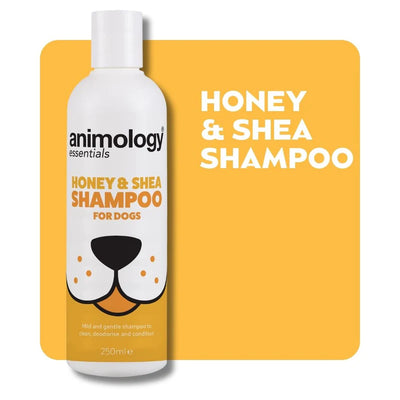 Essentials Shampoo Honey & Shea