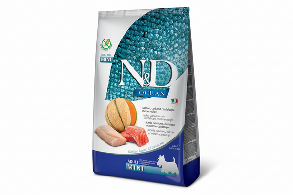 Ocean Salmon Cod Cantalau Adult Mini