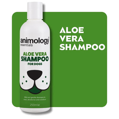 Essentials Shampoo Aloe Vera