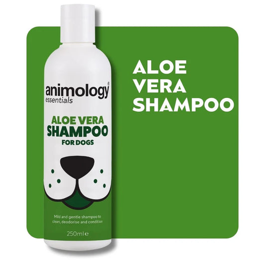Essentials Shampoo Aloe Vera