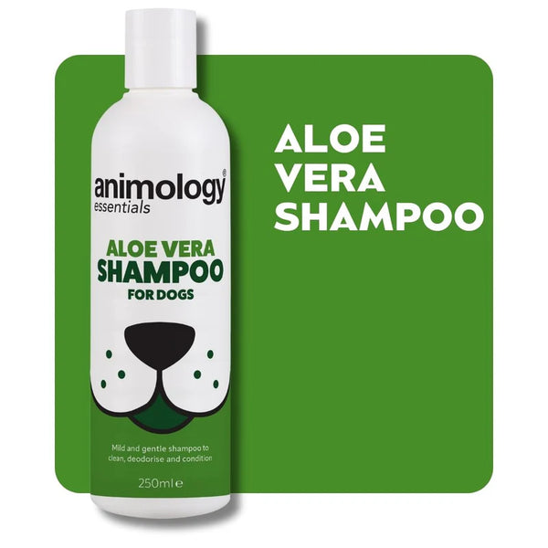 Essentials Shampoo Aloe Vera