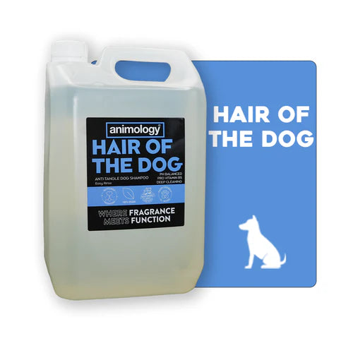Shampoo Hair Of The Dog