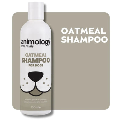 Essentials Shampoo Oatmeal