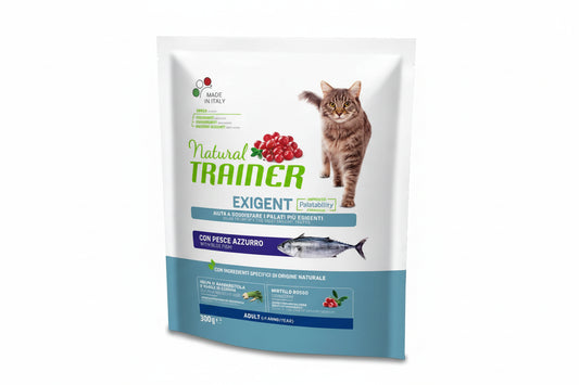 Exigent Cat Blue Fish