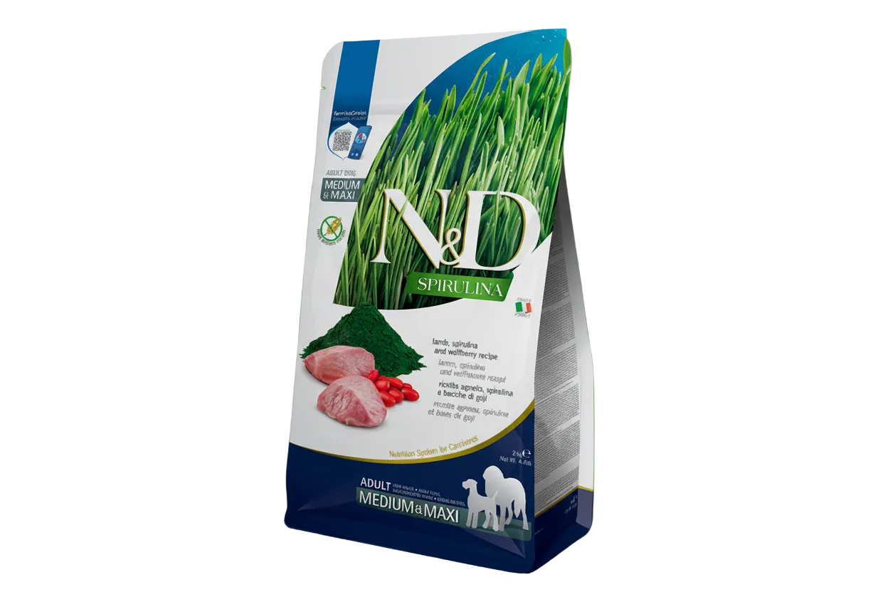 Spirulina Lamb Adult Meduim/ Maxi