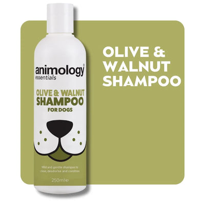 Essentials Shampoo Olive & Walnut