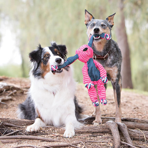 KONG floppy knots fox S/M - 23,5x20,32x8,89cm Multicolour