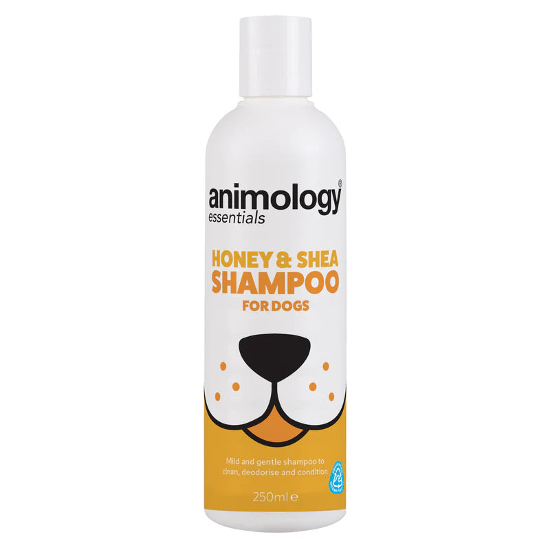 Essentials Shampoo Honey & Shea